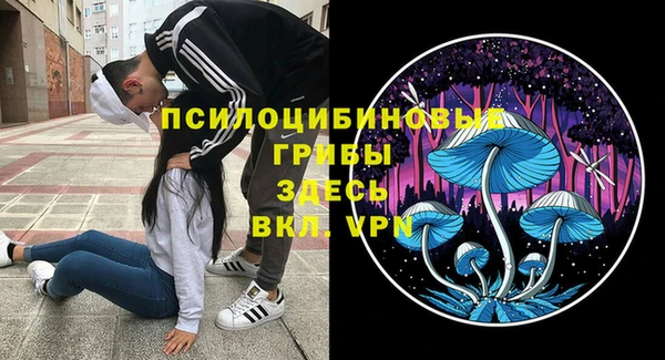 дмт Алексин