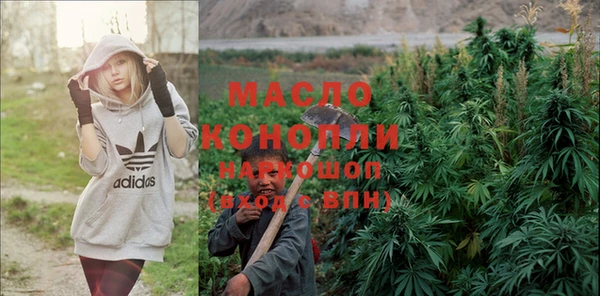 дмт Алексин