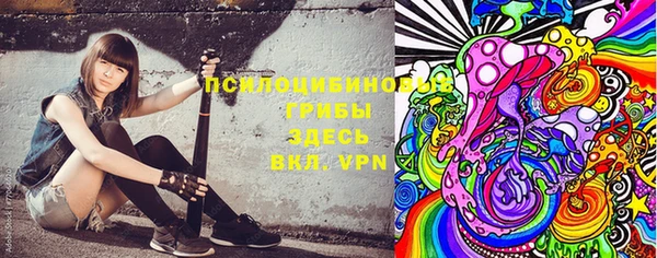 дмт Алексин